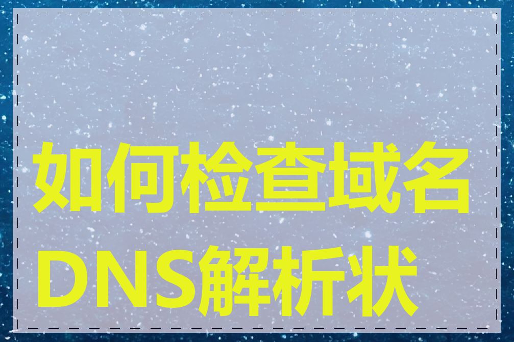 如何检查域名DNS解析状态