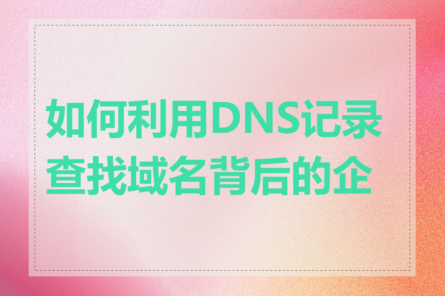 如何利用DNS记录查找域名背后的企业