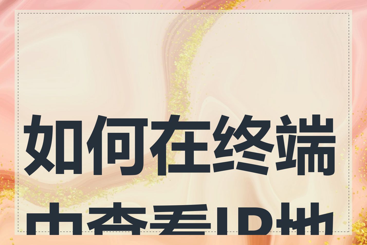 如何在终端中查看IP地址