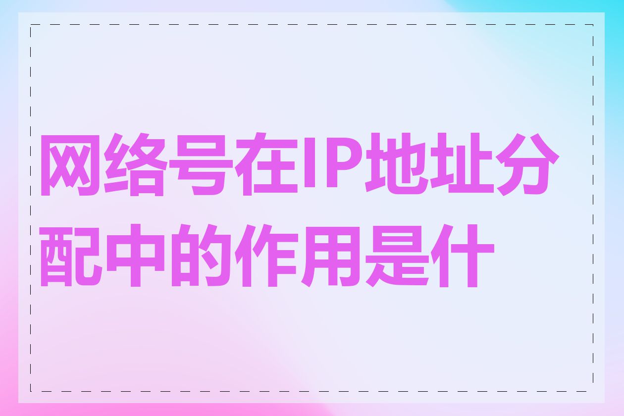 网络号在IP地址分配中的作用是什么