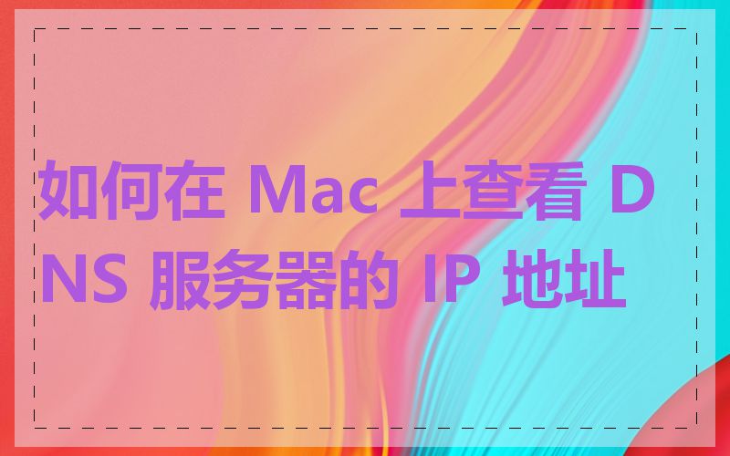如何在 Mac 上查看 DNS 服务器的 IP 地址