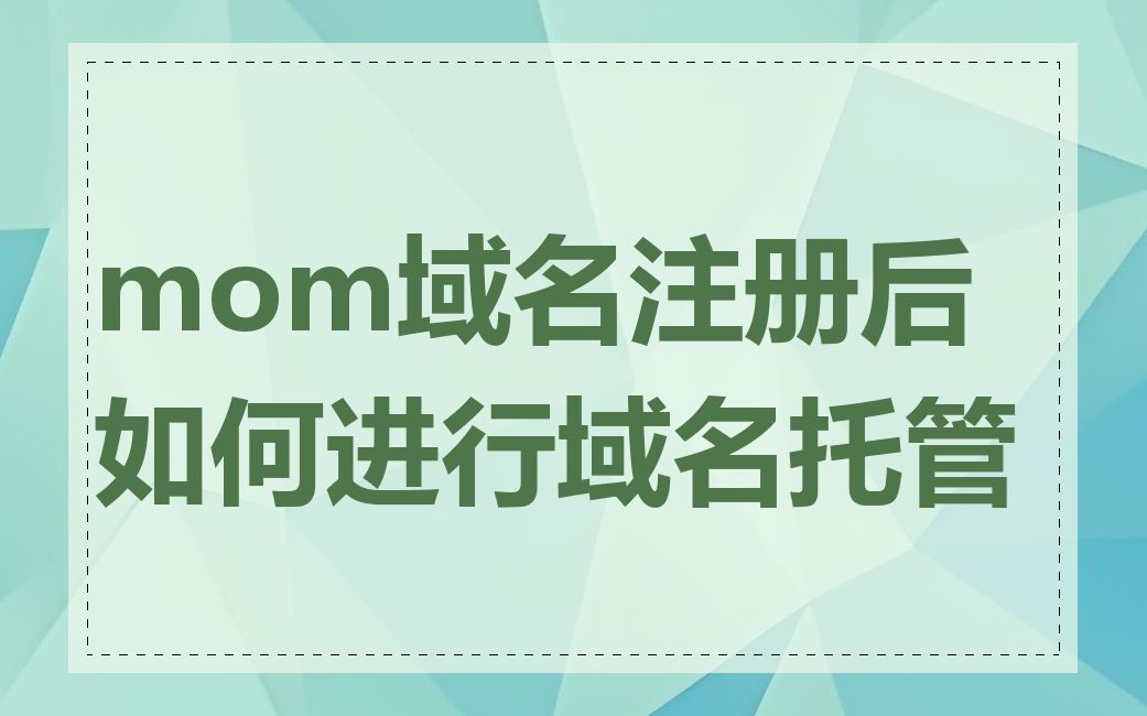 mom域名注册后如何进行域名托管