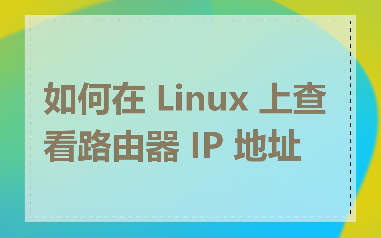 如何在 Linux 上查看路由器 IP 地址