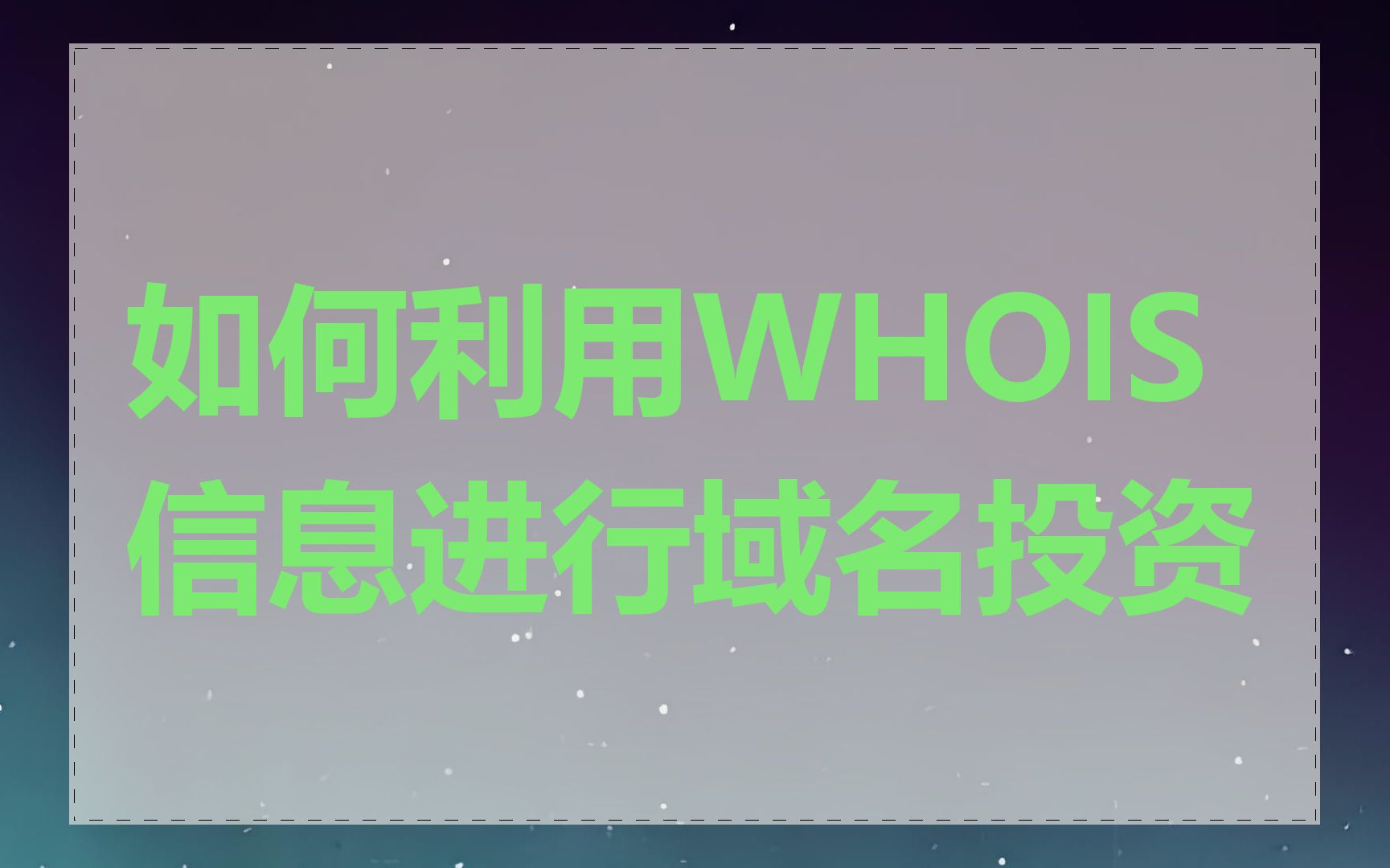 如何利用WHOIS信息进行域名投资