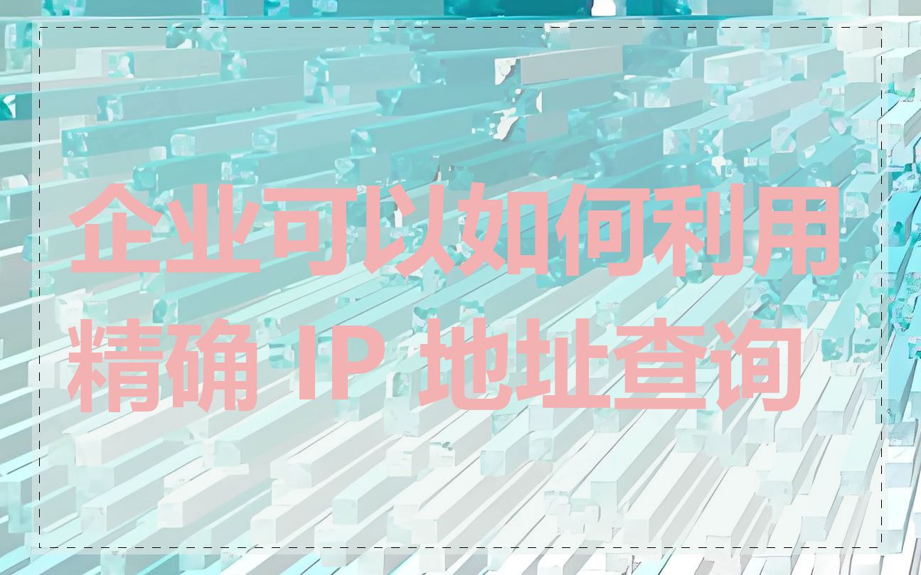 企业可以如何利用精确 IP 地址查询