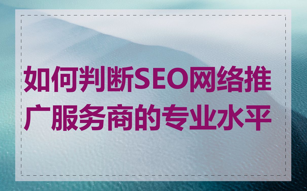 如何判断SEO网络推广服务商的专业水平