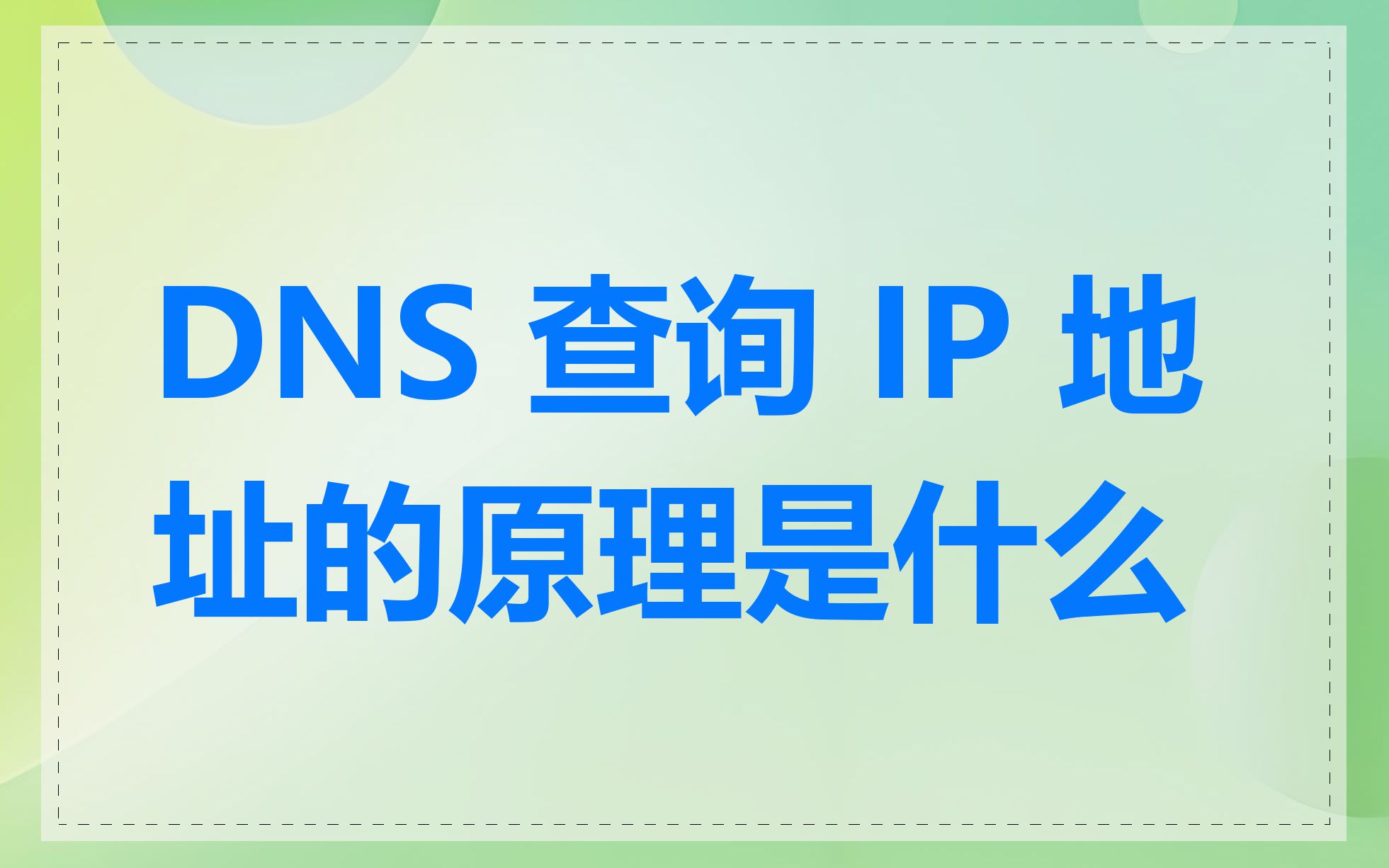 DNS 查询 IP 地址的原理是什么
