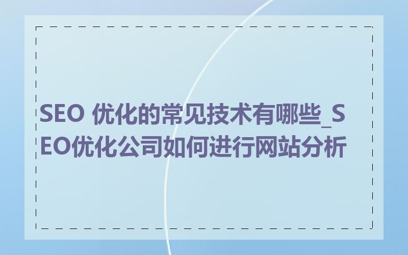 SEO 优化的常见技术有哪些_SEO优化公司如何进行网站分析