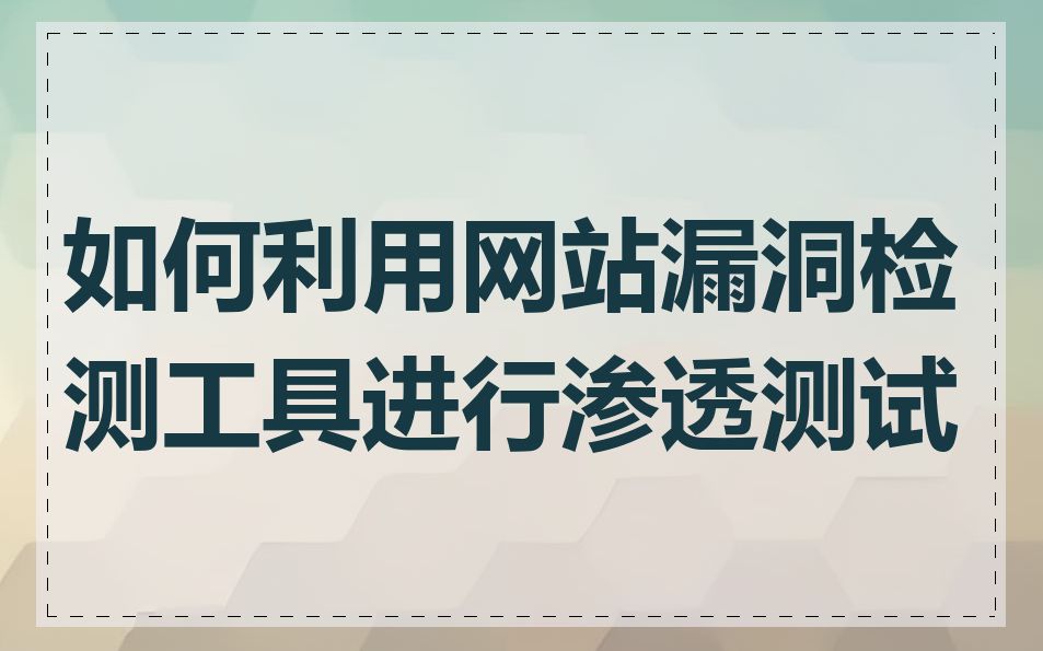 如何利用网站漏洞检测工具进行渗透测试