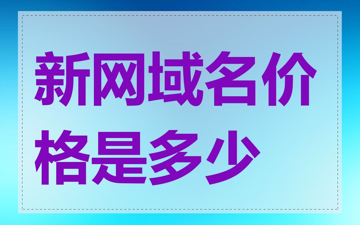 新网域名价格是多少