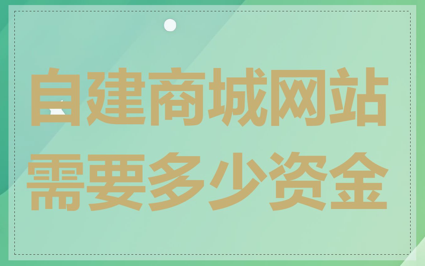 自建商城网站需要多少资金