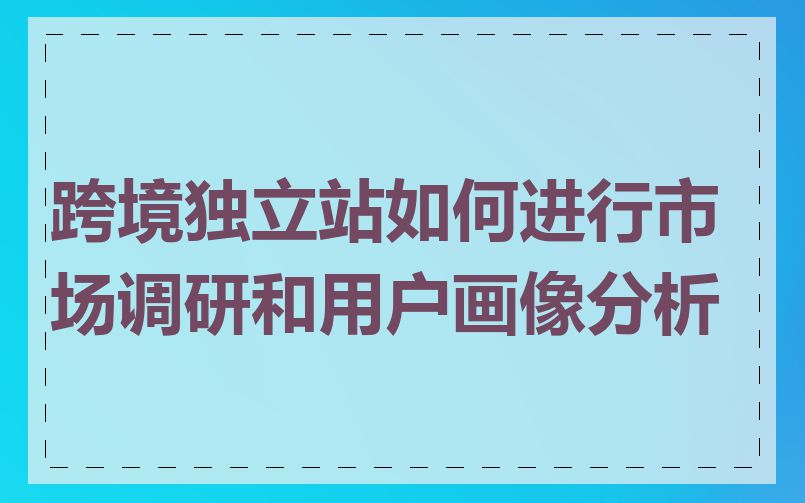 跨境独立站如何进行市场调研和用户画像分析