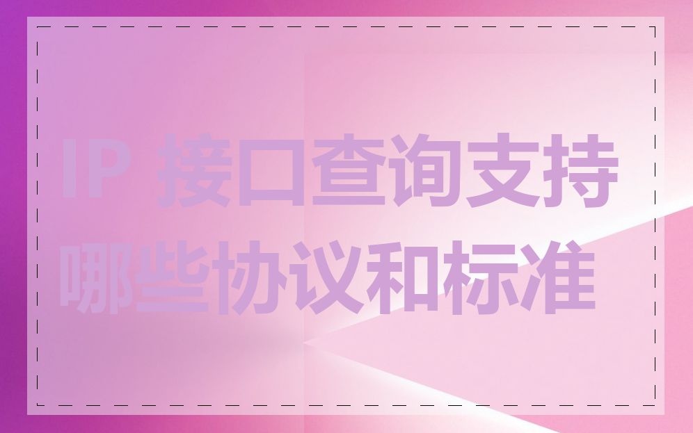 IP 接口查询支持哪些协议和标准