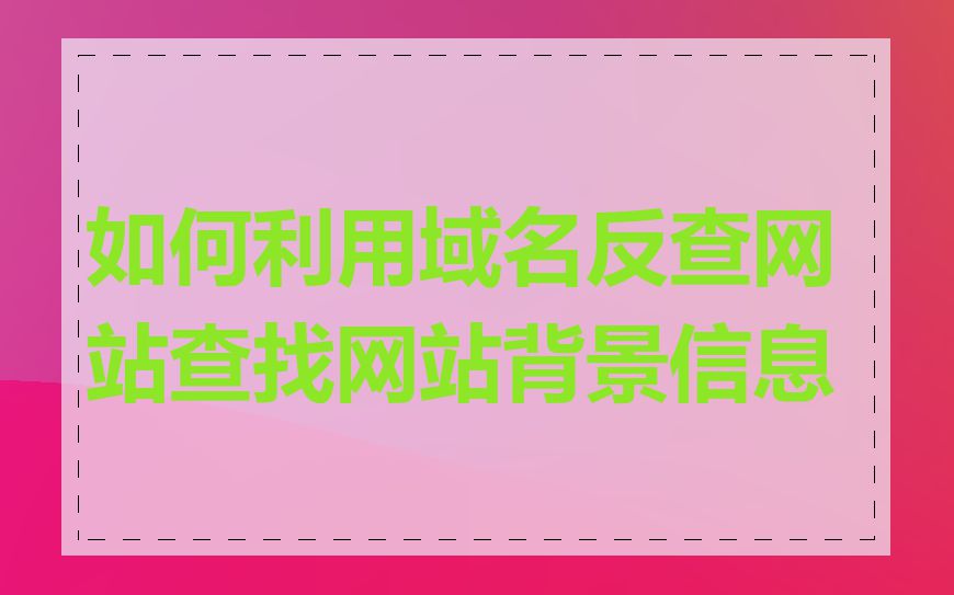 如何利用域名反查网站查找网站背景信息