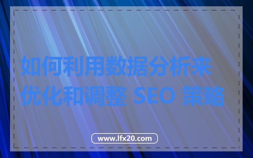如何利用数据分析来优化和调整 SEO 策略