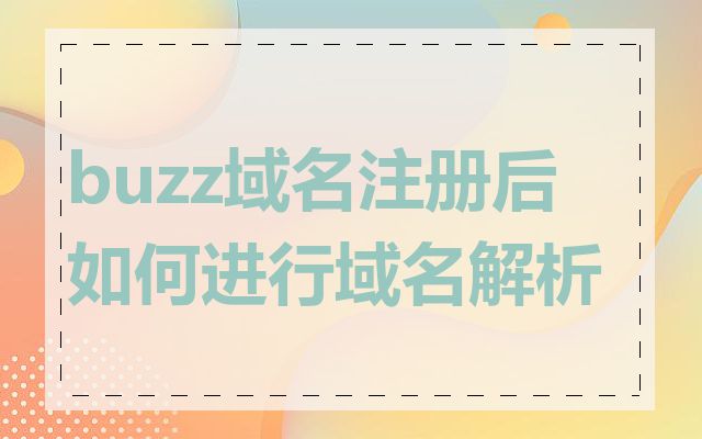 buzz域名注册后如何进行域名解析