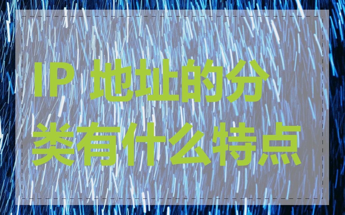 IP 地址的分类有什么特点