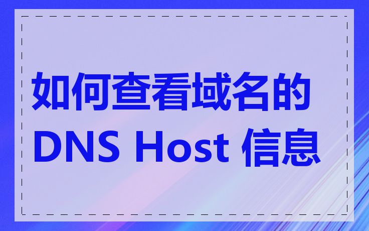 如何查看域名的 DNS Host 信息