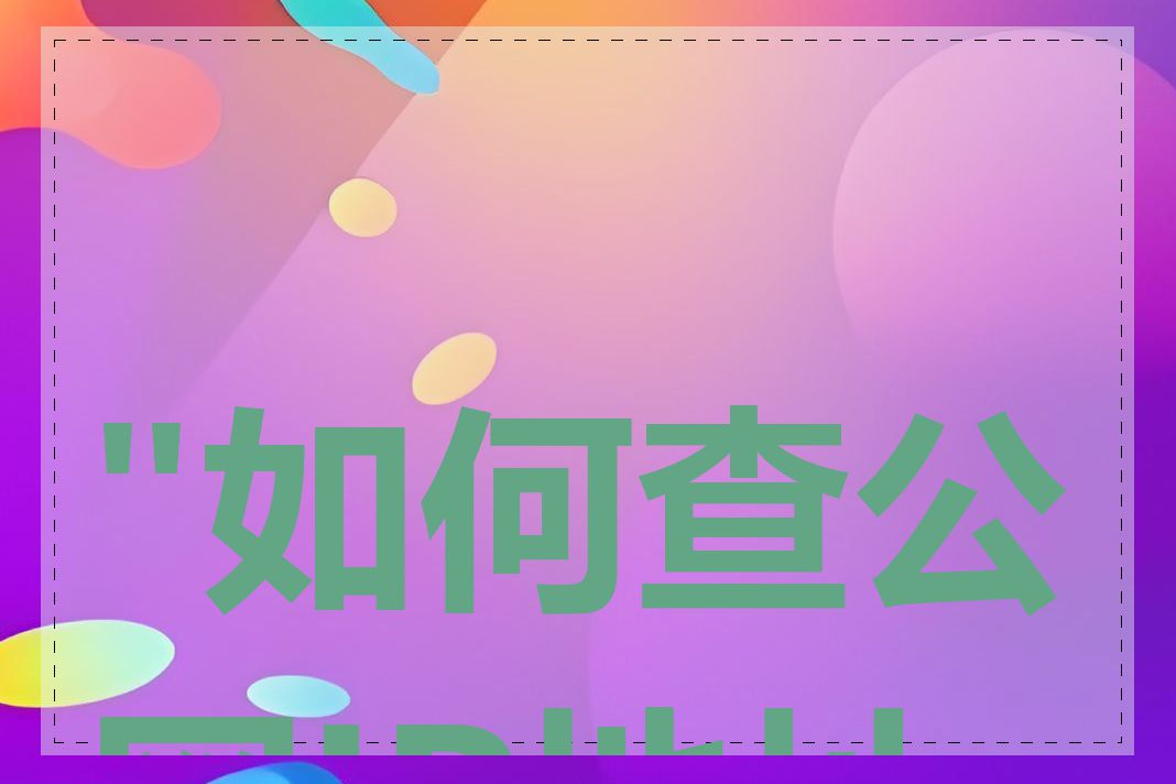 "如何查公网IP地址"