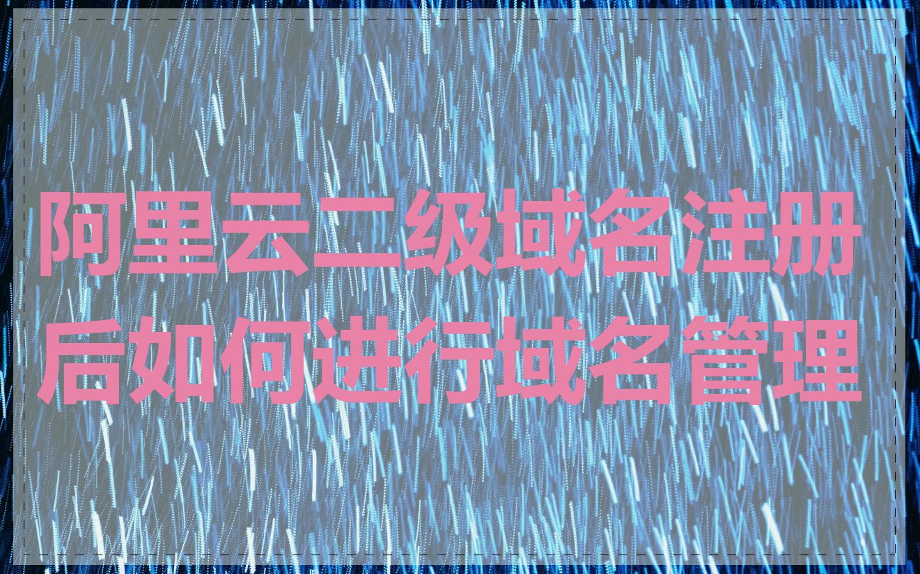 阿里云二级域名注册后如何进行域名管理