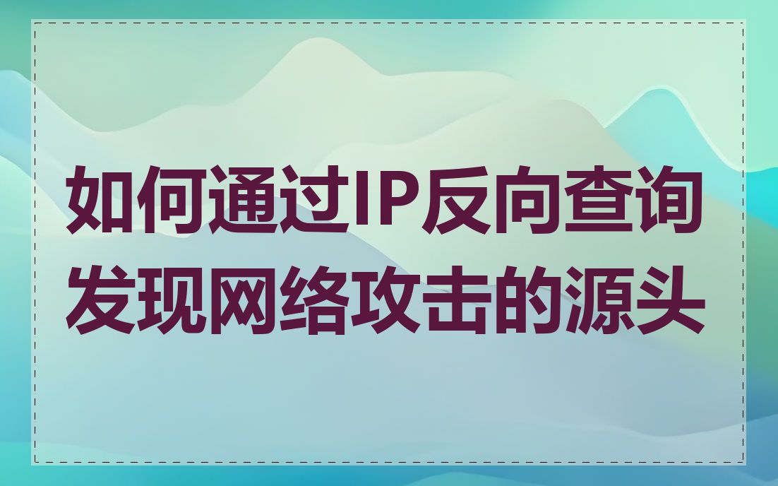 如何通过IP反向查询发现网络攻击的源头