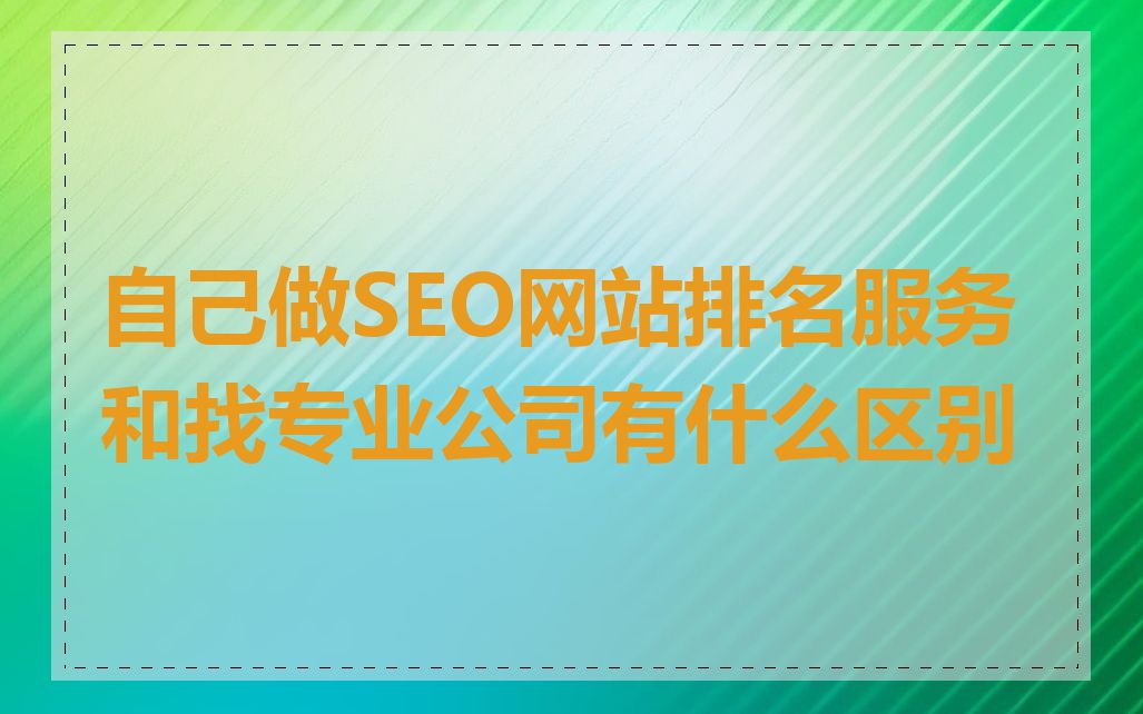 自己做SEO网站排名服务和找专业公司有什么区别