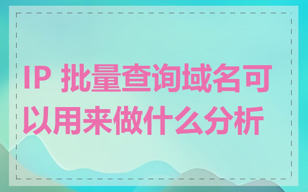 IP 批量查询域名可以用来做什么分析