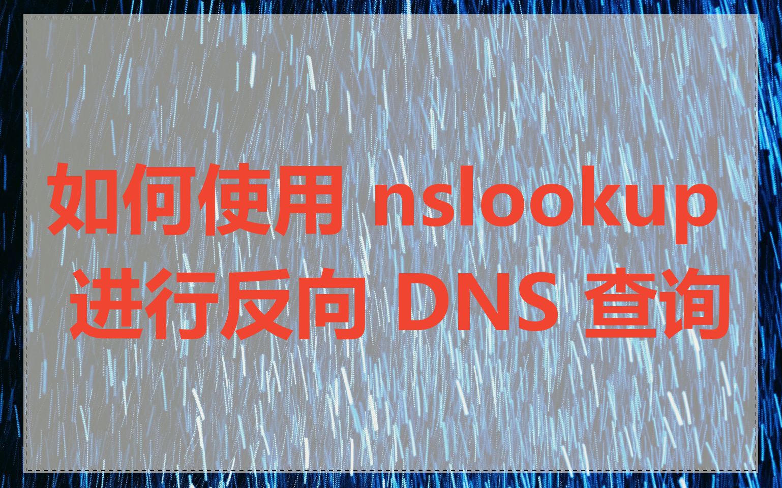 如何使用 nslookup 进行反向 DNS 查询