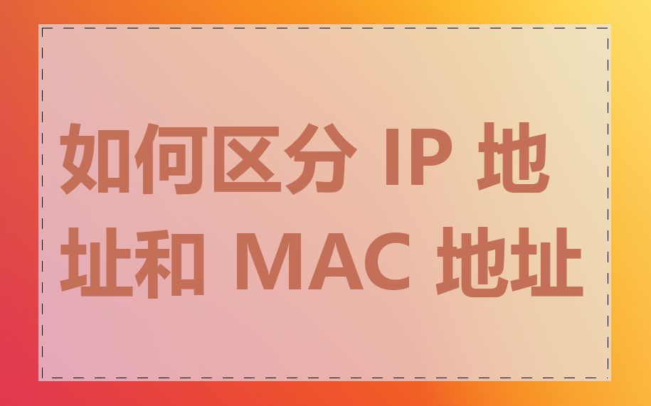 如何区分 IP 地址和 MAC 地址