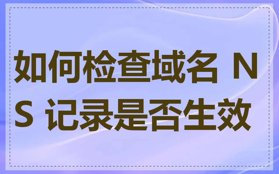 如何检查域名 NS 记录是否生效
