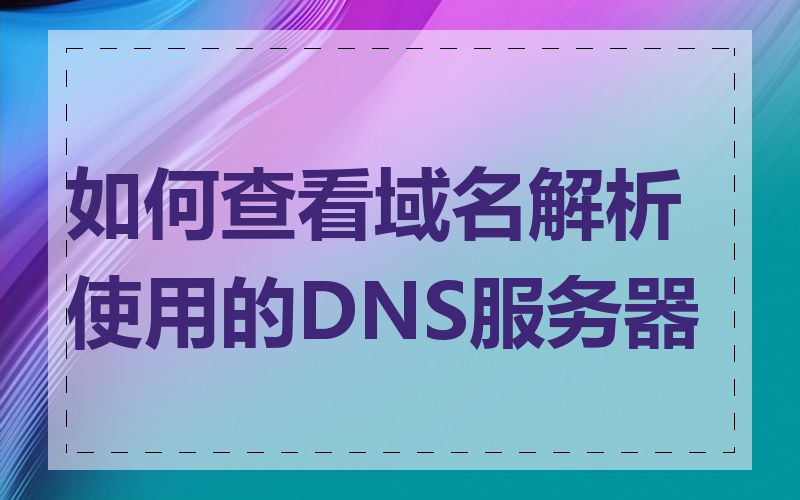 如何查看域名解析使用的DNS服务器