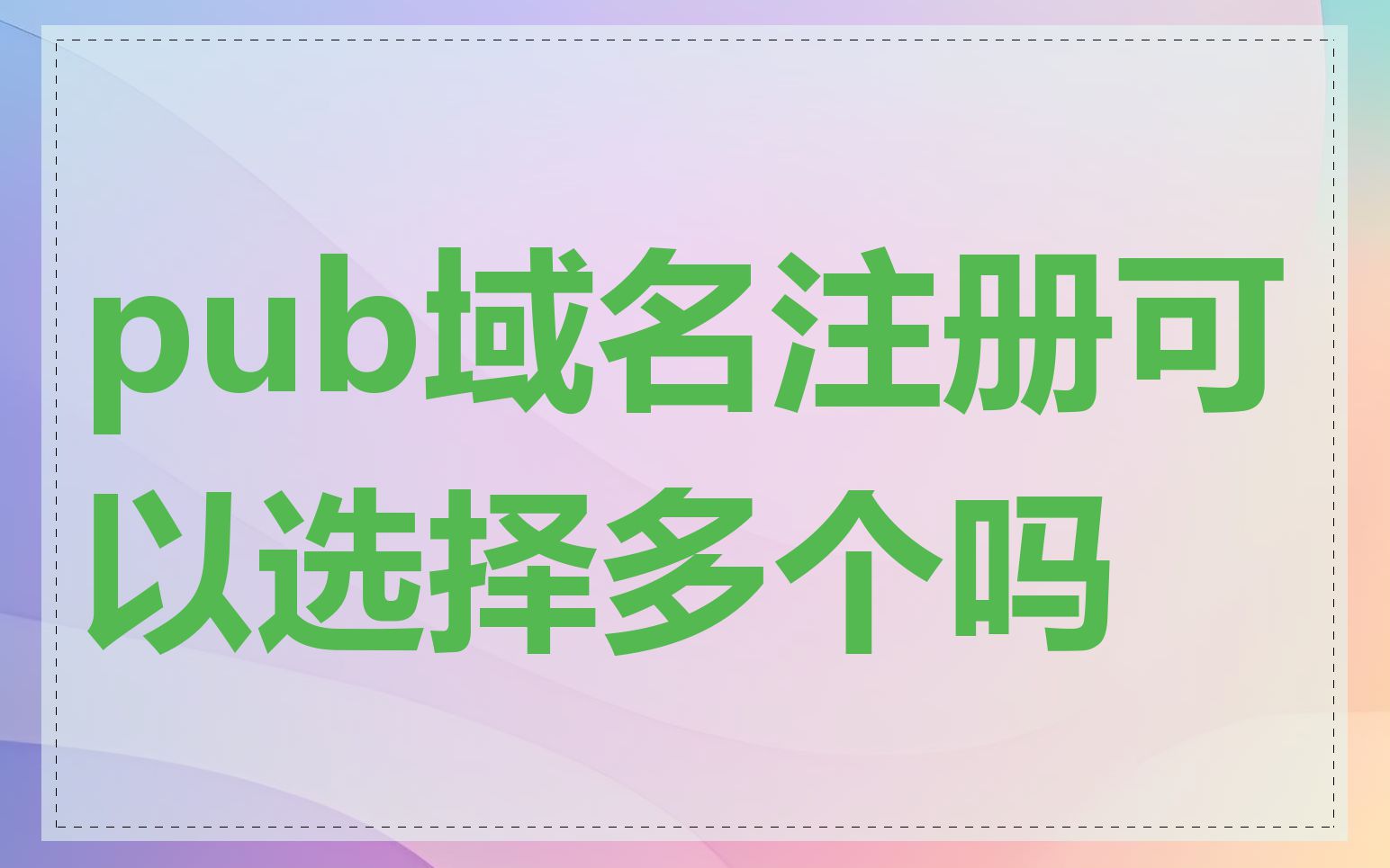 pub域名注册可以选择多个吗