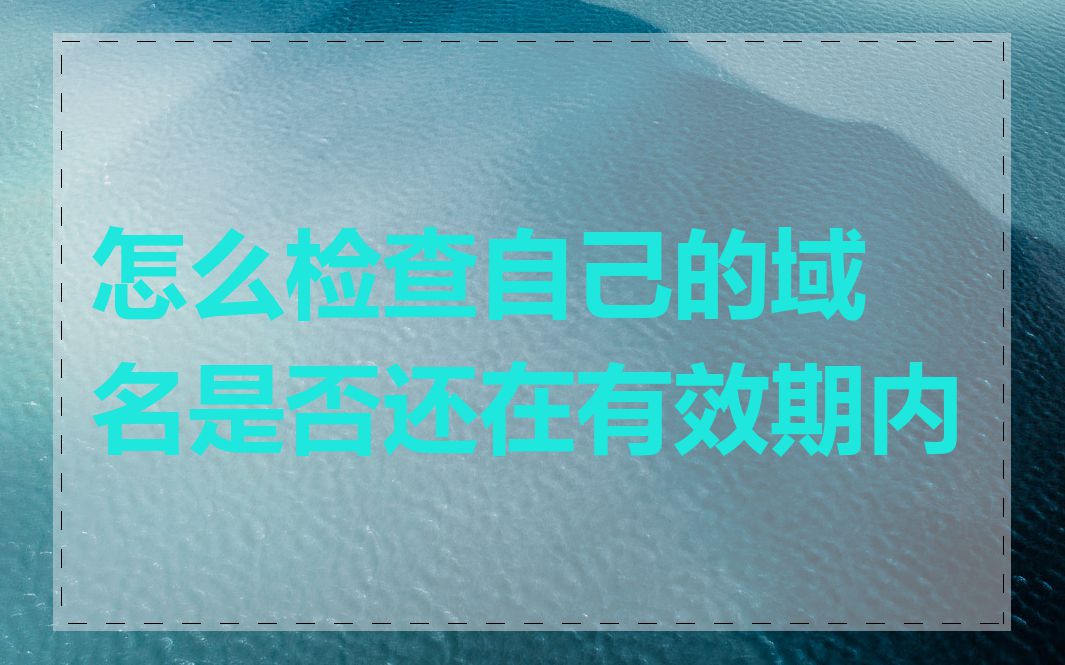 怎么检查自己的域名是否还在有效期内