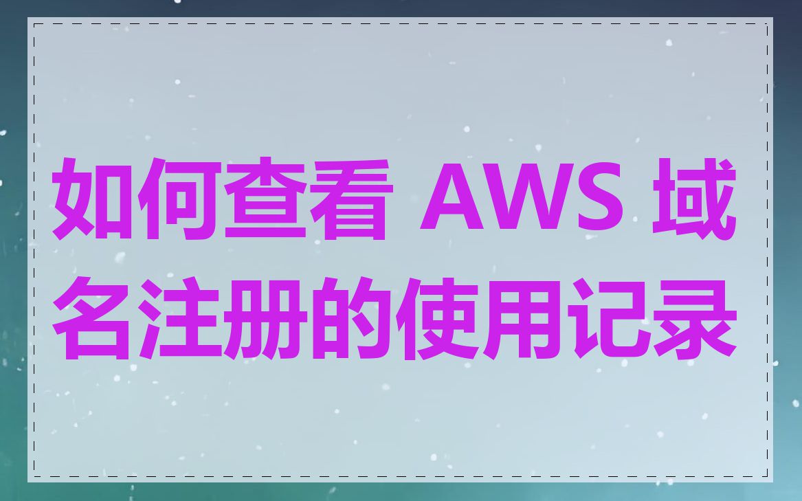 如何查看 AWS 域名注册的使用记录