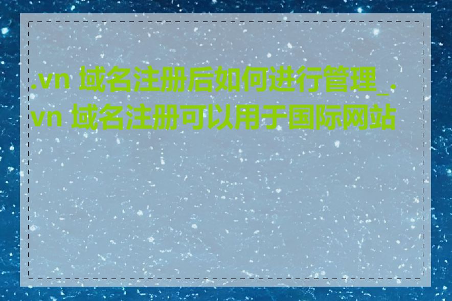 .vn 域名注册后如何进行管理_.vn 域名注册可以用于国际网站吗