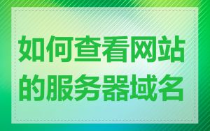 如何查看网站的服务器域名