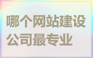 哪个网站建设公司最专业