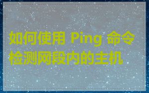 如何使用 Ping 命令检测网段内的主机