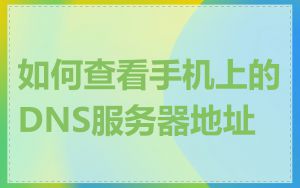 如何查看手机上的DNS服务器地址