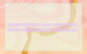 内网服务器使用域名访问的注意事项有哪些_如何将内网服务器配置为可以通过域名访问