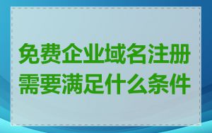 免费企业域名注册需要满足什么条件