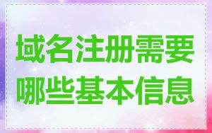 域名注册需要哪些基本信息