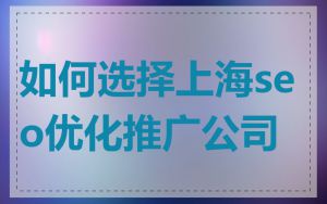 如何选择上海seo优化推广公司