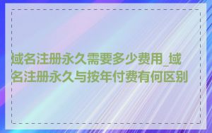 域名注册永久需要多少费用_域名注册永久与按年付费有何区别