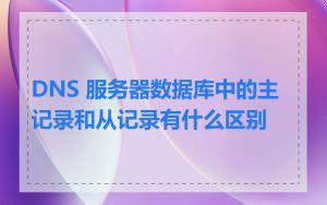 DNS 服务器数据库中的主记录和从记录有什么区别