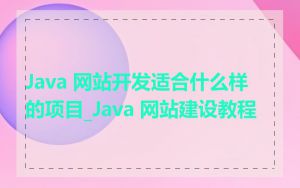Java 网站开发适合什么样的项目_Java 网站建设教程