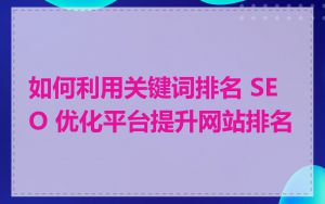 如何利用关键词排名 SEO 优化平台提升网站排名