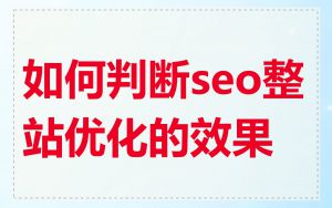 如何判断seo整站优化的效果