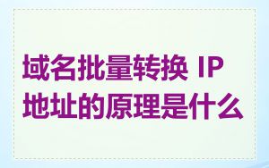 域名批量转换 IP 地址的原理是什么