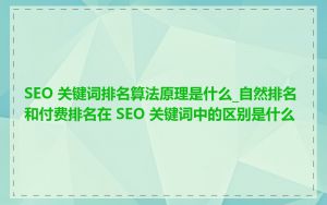 SEO 关键词排名算法原理是什么_自然排名和付费排名在 SEO 关键词中的区别是什么